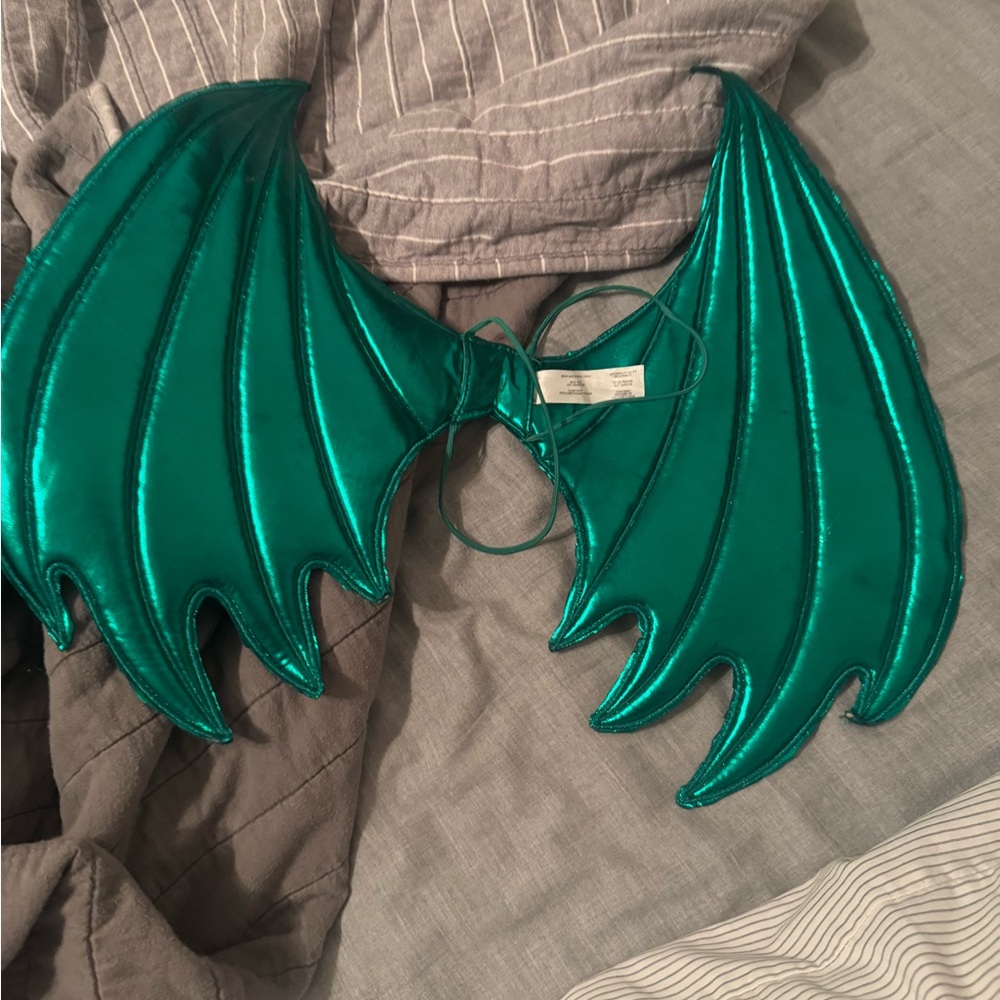 Green Dragon Wings Costume Accessory